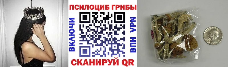 Псилоцибиновые грибы MAGIC MUSHROOMS Купить где Кораблино